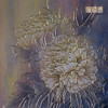 铜师傅 手工錾刻 铜雕画《国色天香》装饰画 商品缩略图3