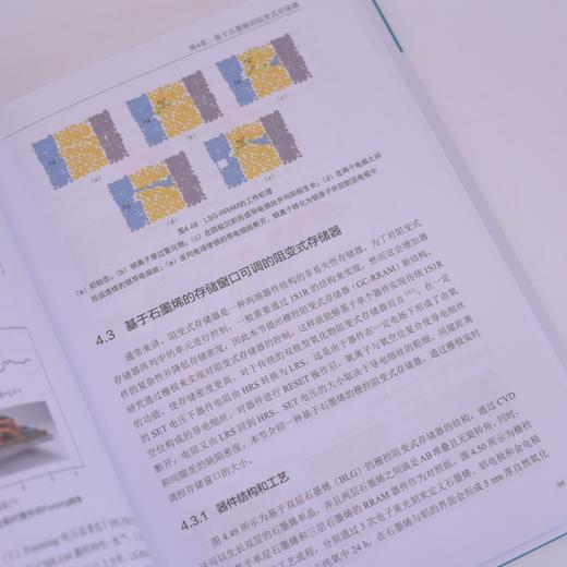 基于石墨烯的新型微纳电子器件 石墨烯微纳器件 二维异质结集成 激光直写工艺 商品图2