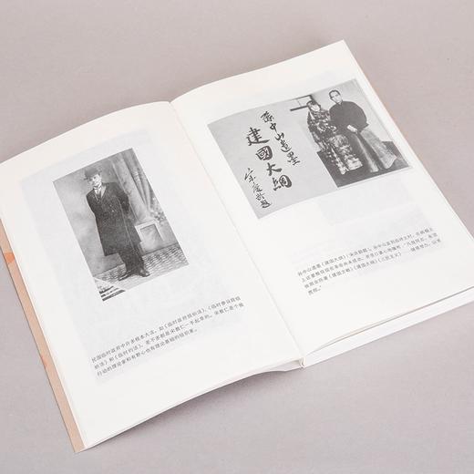 袁氏当国（插图版） 唐德刚 著 商品图10