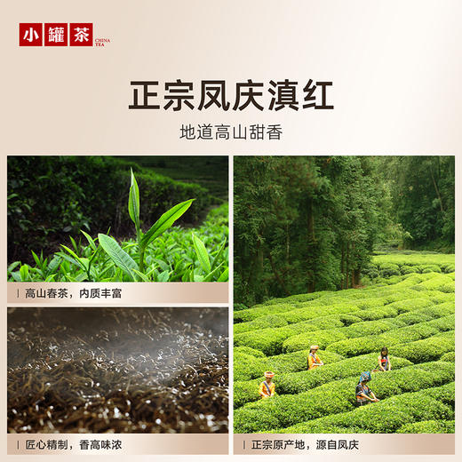 小罐茶 满堂鸿 滇红茶 商品图5