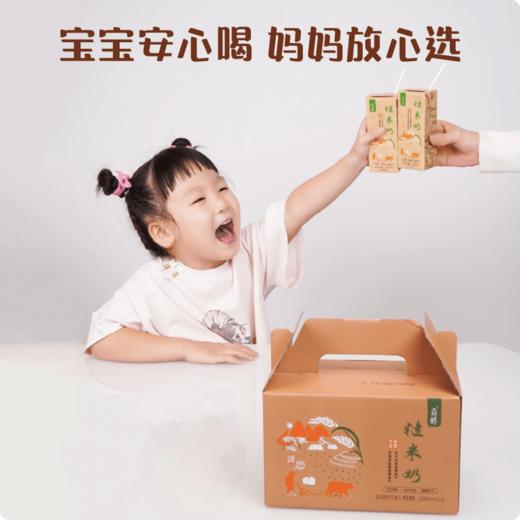 谦益 糙米奶1箱（200mlX6瓶） 0蔗糖 0乳糖 0麸质 入口丝滑 醇厚清甜 商品图3