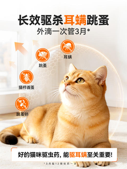 普安特爱滴卫猫咪驱虫药外驱宠物驱虫药跳蚤耳螨氟雷拉纳滴剂猫用 商品图2