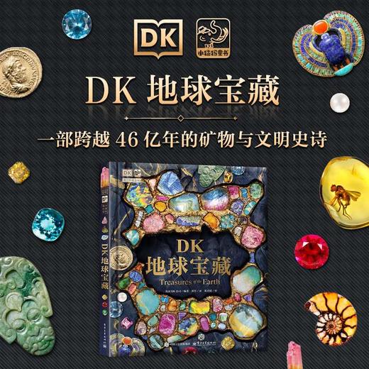 DK地球宝藏 商品图1