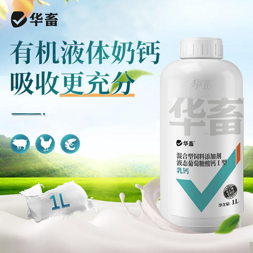 华畜乳钙 优能钙1L 选用有机钙吸收更充分 商品图0