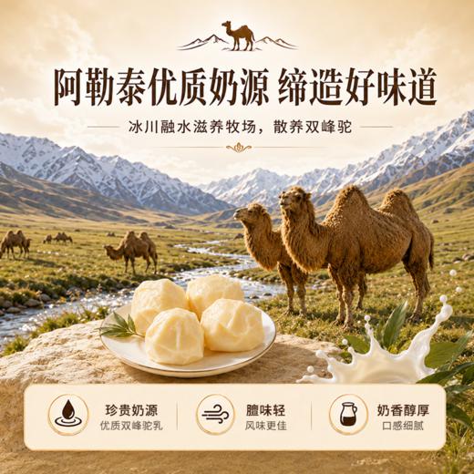 营养食光·溯源新疆驼奶疙瘩 | 驼奶奶源来源正宗新疆散养双峰驼 商品图2