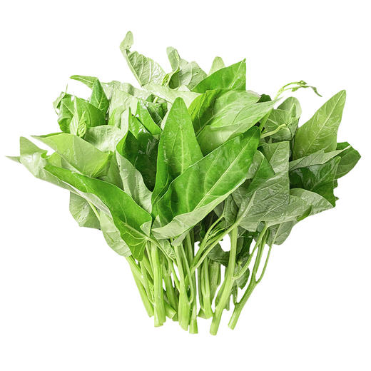 沈佳农 有机空心菜 250g 商品图4