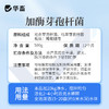 华畜加酶芽孢杆菌菌种水产养殖专用原种菌粉虾蟹塘活菌em益生菌 商品缩略图5