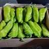 【HGSM】尖椒 商品缩略图2