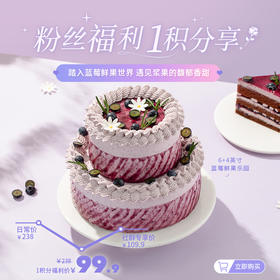 【1积分+99.9元】6+4英寸蓝莓鲜果乐园，鲜爽蓝莓解腻，蛋糕胚松软绵密，酸甜交织，甜而不腻，一口尽享清新酸甜（广州积分兑换）