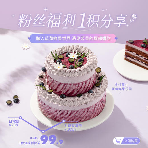 【1积分+99.9元】6+4英寸蓝莓鲜果乐园，鲜爽蓝莓解腻，蛋糕胚松软绵密，酸甜交织，甜而不腻，一口尽享清新酸甜（广州积分兑换） 商品图0