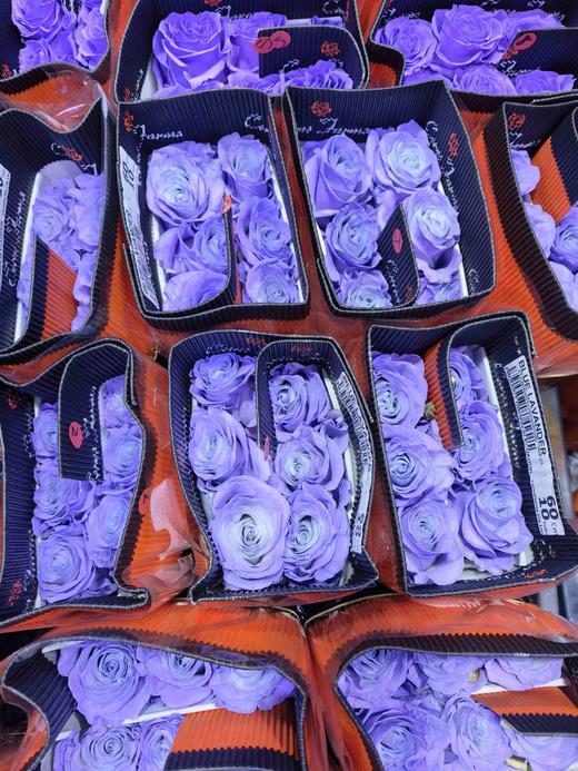 厄瓜多尔BLUE LAVANDER蓝心薰衣草染色玫瑰花10支 商品图7
