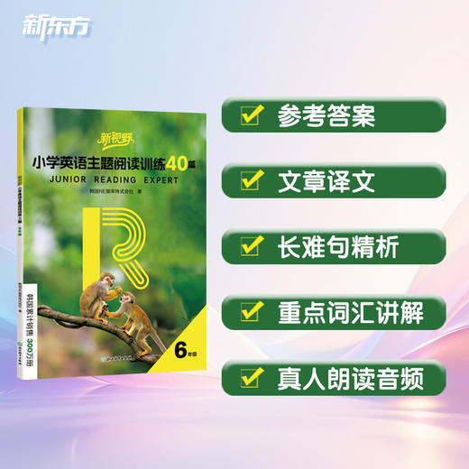 新视野 小学英语主题阅读训练40篇 6年级/7年级/8年级/9年级 商品图2