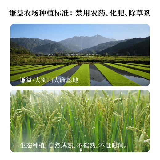 【新品尝鲜】谦益三色糙米谷粒脆228g 配料纯净 不加糖 5种杂粮 米香可口 嘎嘣脆 商品图5