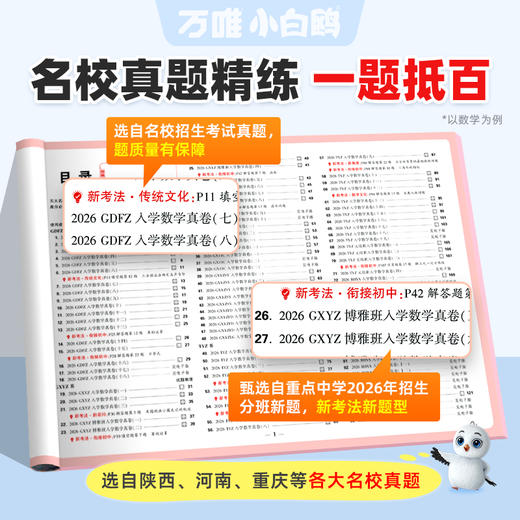 2027万唯小白鸥小升初真题卷数学语文英语毕业分班考试卷重点中学2025招生真题试卷超详解小学五年级六年级系统暑假总复习资料 商品图1