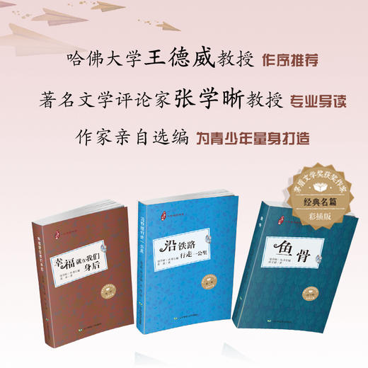 茅盾文学奖获奖作家名篇迟子建苏童麦家亲自选编幸福就在我们身后 商品图1