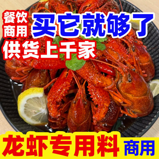 商用梅子花雕风味汁名厨配方餐饮专用调味汁500g 商品图1