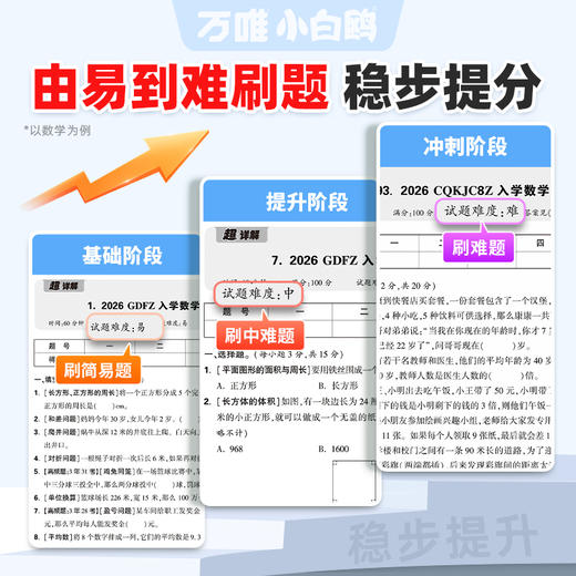 2027万唯小白鸥小升初真题卷数学语文英语毕业分班考试卷重点中学2025招生真题试卷超详解小学五年级六年级系统暑假总复习资料 商品图2