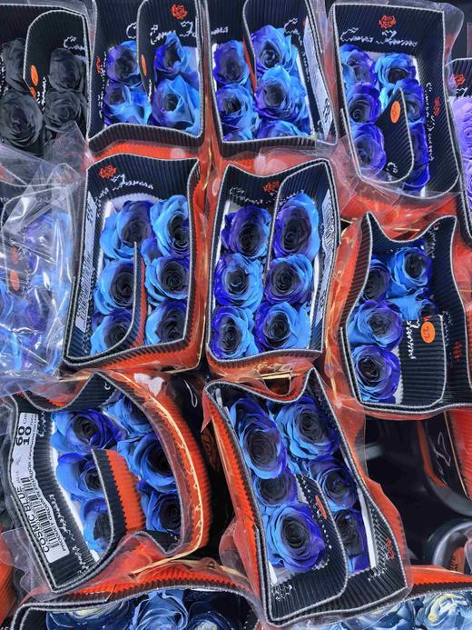 厄瓜多尔染色Cosmic blue宇宙蓝玫瑰10支 商品图5