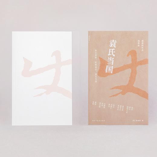袁氏当国（插图版） 唐德刚 著 商品图2