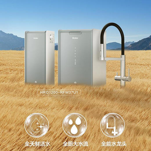 海尔（Haier）净水机 HRO1200-RFM37U1 商品图0