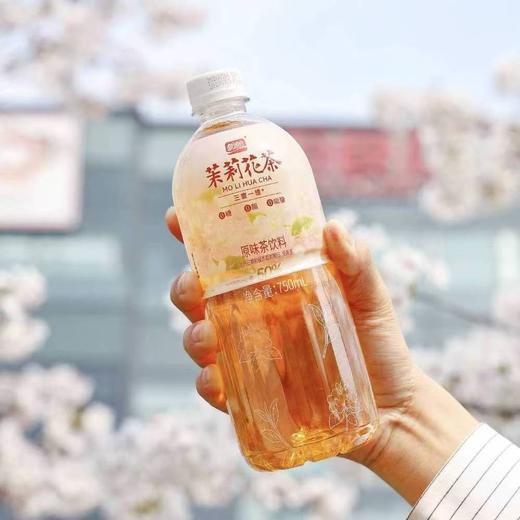 【9.9元任选3瓶】盼盼0糖茶饮料 山茶花龙井/茉莉花茶/茉莉乌龙  750ml/瓶 商品图3