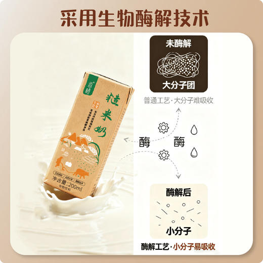 谦益 糙米奶1箱（200mlX6瓶） 0蔗糖 0乳糖 0麸质 入口丝滑 醇厚清甜 商品图2