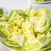 沈佳农 有机绿甘蓝 500g 商品缩略图3
