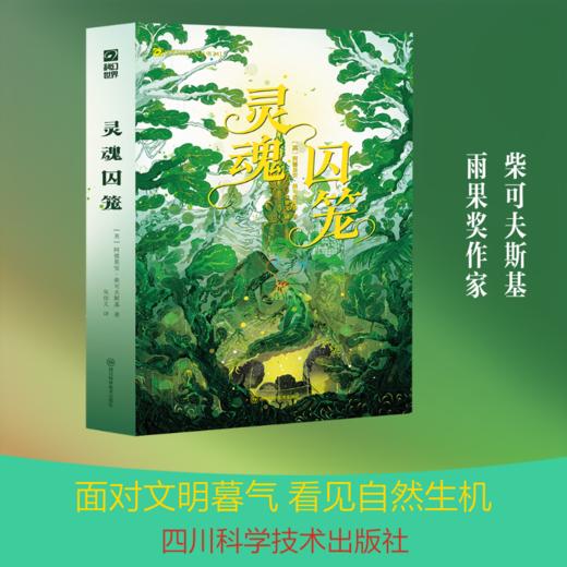 灵魂囚笼 商品图3