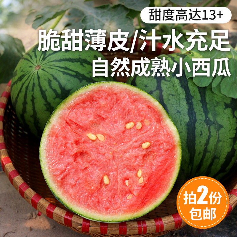 密云新鲜现摘小西瓜1个2份包邮 脆甜西瓜 皮薄吊瓜 新鲜西瓜时令水果