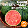 密云新鲜现摘小西瓜1个2份包邮 脆甜西瓜 皮薄吊瓜 新鲜西瓜时令水果 商品缩略图0