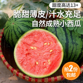 密云新鲜现摘小西瓜1个2份包邮 脆甜西瓜 皮薄吊瓜 新鲜西瓜时令水果