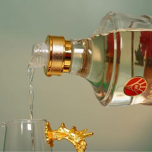 热卖！五粮液仙林生态华彩人生富贵平安白酒 500ml*2瓶+送1个礼袋 商品图2
