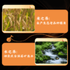谦益房县黄酒100/500ml 生态纯酿 原浆洑汁糯米酒 药引泡阿胶 芝麻丸好搭档 产后月子特殊期 商品缩略图3
