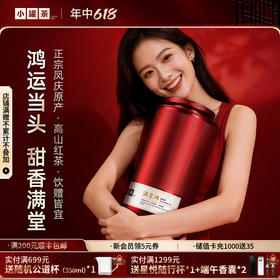小罐茶 满堂鸿 滇红茶