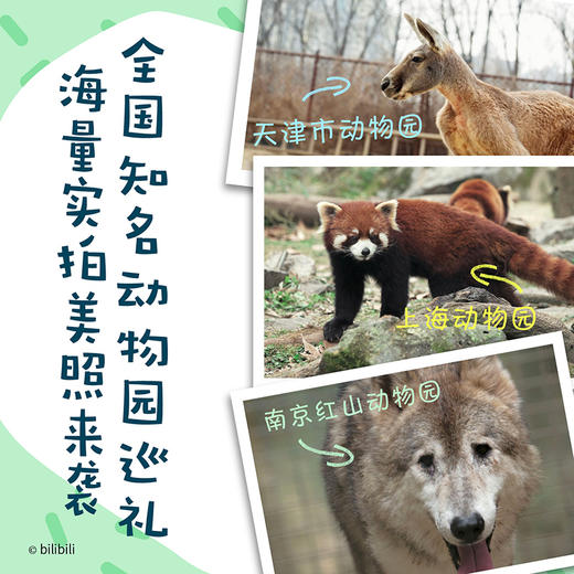我的朋友圈 商品图3