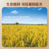 谦益 糙米奶1箱（200mlX6瓶） 0蔗糖 0乳糖 0麸质 入口丝滑 醇厚清甜 商品缩略图4