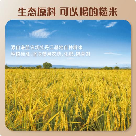谦益 糙米奶1箱（200mlX6瓶） 0蔗糖 0乳糖 0麸质 入口丝滑 醇厚清甜 商品图4