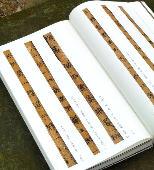 【重磅推荐】《简牍书法经典四十品》，精装，大16开，陈阳静主编，岳麓书社2025年11月一版一印，384页，定价398，售价198元 商品图5