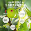 福东海 无花果干180克【新疆源产】 颗颗精选无花果片茶即食泡水煲汤 商品缩略图3