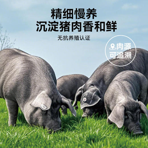 自由肉肉  黑猪肉肠 240g/盒（40g*6根）  精选后腿肉 香不腻瘦不柴 肉粒真材肉丝实料 高蛋白好吃有营养 商品图3