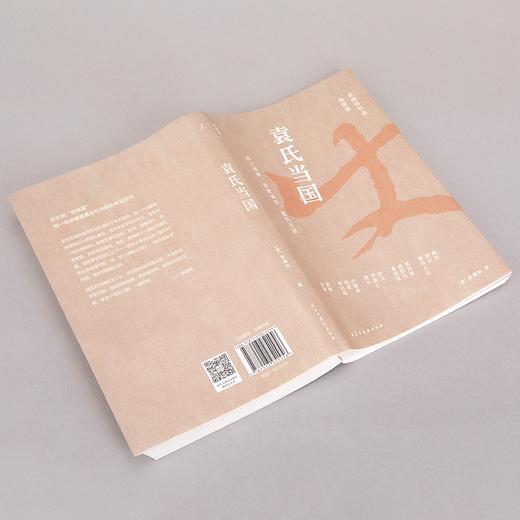 袁氏当国（插图版） 唐德刚 著 商品图5