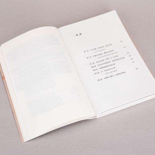 袁氏当国（插图版） 唐德刚 著 商品图6