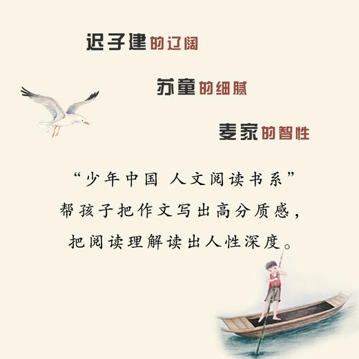 茅盾文学奖获奖作家名篇迟子建苏童麦家亲自选编幸福就在我们身后 商品图4