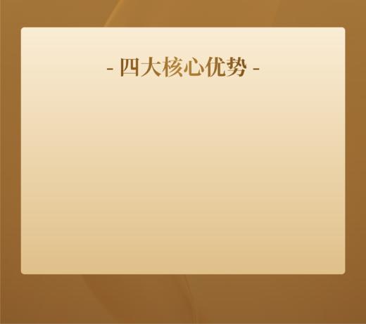 13123 商品图0