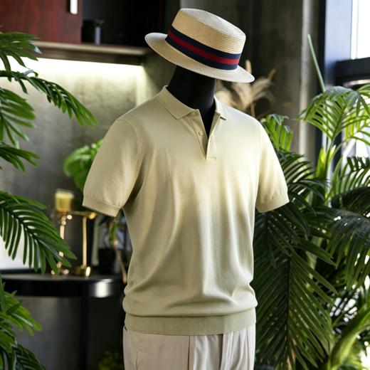 夏季新款男士纯羊绒 POLO衫T恤  四色可选-奢品不退换 商品图0