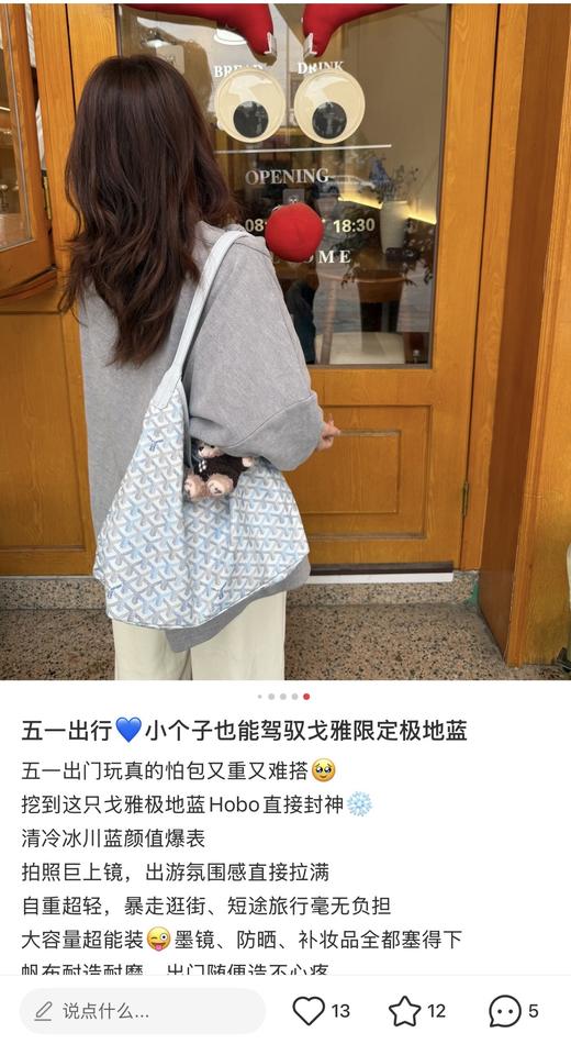 戈*雅2026四季炫彩HOBO 商品图7