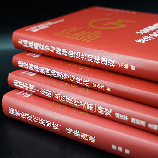 大国战略竞争与海洋命运共同体建设 商品图2
