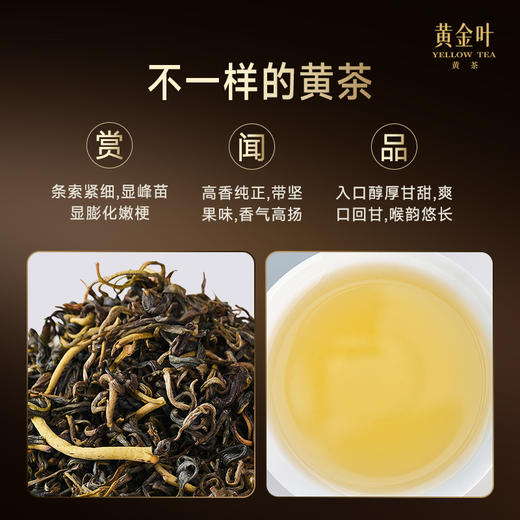 竹叶青茶业出品黄金叶黄茶茶叶特级论道罐装250g茶叶礼盒高端送礼 商品图2
