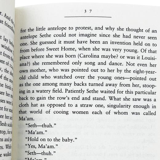 宠儿 英文原版小说 Beloved Toni Morrison 托妮莫里森代表作 诺贝尔文学奖 普利策奖 英文版 进口原版英语书籍 商品图3