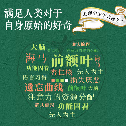 预售 预计5月中下旬发货 认知心理学（第4版）认知心理学入门书籍傅小兰审校津巴多普通心理学认知记忆脑科学AI时代立身不可或缺的心理学基础学科 商品图1